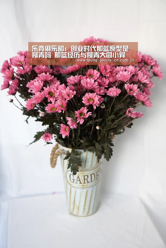 乐竞俱乐部:创业时代那蓝原型是柳青吗 那蓝经历与柳青大同小异(图1) 乐竞