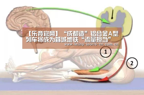 【乐竞官网】“成都造”铝合金A型列车将成为蓉城地铁“流量担当”(图1) 乐竞运动