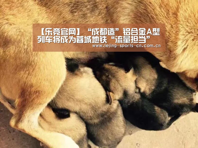 【乐竞官网】“成都造”铝合金A型列车将成为蓉城地铁“流量担当”(图2) 【乐竞官网】“成都造”铝合金A型列车将成为蓉城地铁“流量担当”(图2)