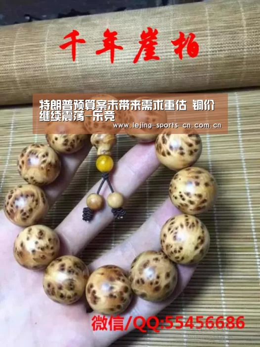 特朗普预算案未带来需求重估 铜价继续震荡-乐竞(图2) 乐竞俱乐部