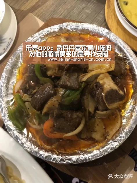 乐竞app:武丹丹喜欢黄小栋吗 对他的感情更多的是寻找安慰和依靠(图3) 乐竞