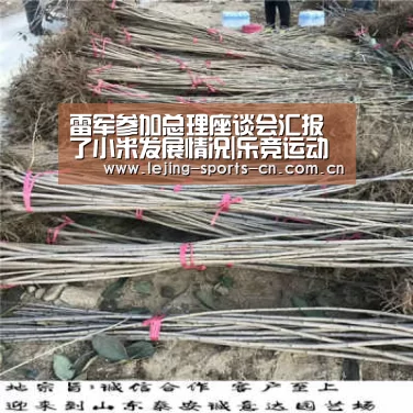 雷军参加总理座谈会汇报了小米发展情况|乐竞运动(图1) 乐竞app