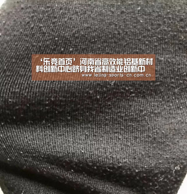 ‘乐竞首页’河南省高效能铝基新材料创新中心跻身我省制造业创新中心之列(图2) 乐竞运动