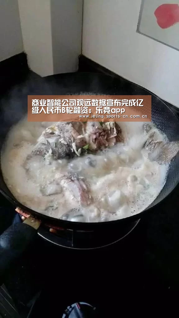 商业智能公司观远数据宣布完成亿级人民币B轮融资:乐竞app(图2) 乐竞app
